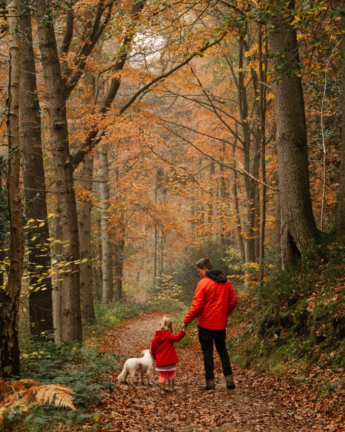 Autumn Events